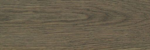 Osmo Polyx-Oil Tints, Hardwax-Oil, Graphite, 5ml Sample Image 2